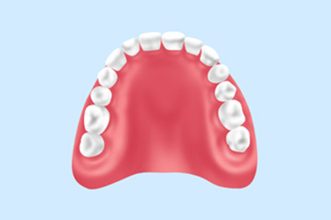レジン床義歯（保険診療）